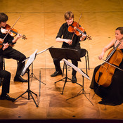 Furiant string quartet @ Festival Lent, Maribor (Slovenia), 20/06 > 05/07/2014 <em>Photo: © Saša Huzjak</em>