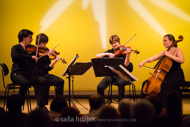 Furiant string quartet @ Festival Lent, Maribor (Slovenia), 20/06 > 05/07/2014 <em>Photo: © Saša Huzjak</em>