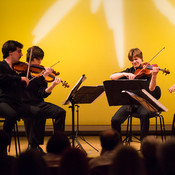 Furiant string quartet @ Festival Lent, Maribor (Slovenia), 20/06 > 05/07/2014 <em>Photo: © Saša Huzjak</em>