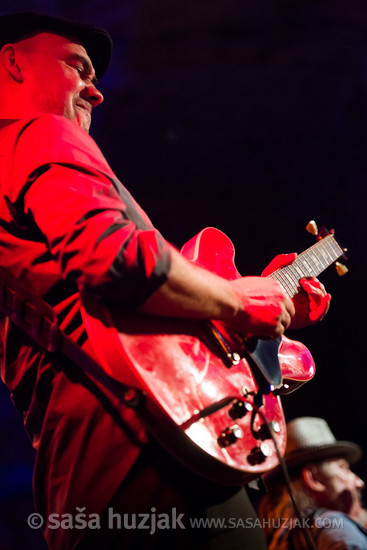 Frank Folgmann (Boogie with the Hook - A tribute to John Lee Hooker) @ Festival Lent, Maribor (Slovenia), 20/06 > 05/07/2014 <em>Photo: © Saša Huzjak</em>