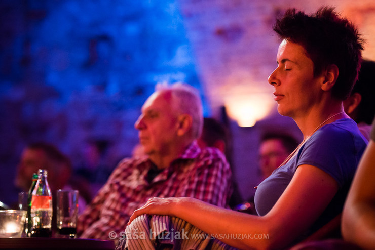 Boogie with the Hook - A tribute to John Lee Hooker @ Festival Lent, Maribor (Slovenia), 20/06 > 05/07/2014 <em>Photo: © Saša Huzjak</em>