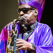 Sun Ra Centennial Dream Arkestra @ Bažant Pohoda festival, Trenčín (Slovakia), 10/07 > 12/07/2014 <em>Photo: © Saša Huzjak</em>