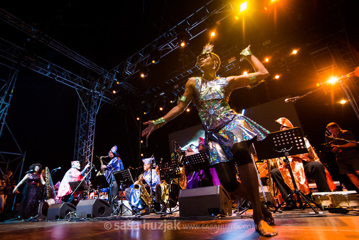 Sun Ra Centennial Dream Arkestra @ Bažant Pohoda festival, Trenčín (Slovakia), 10/07 > 12/07/2014 <em>Photo: © Saša Huzjak</em>