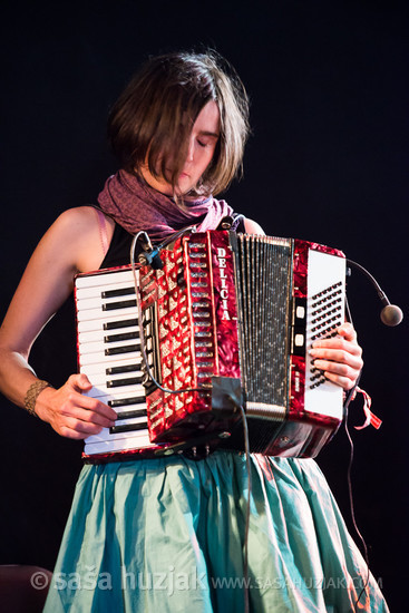 Agon Orchestra @ Bažant Pohoda festival, Trenčín (Slovakia), 10/07 > 12/07/2014 <em>Photo: © Saša Huzjak</em>