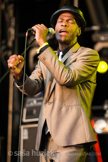 Arthur 'Gaps' Hendrickson (The Selecter) @ Bažant Pohoda festival, Trenčín (Slovakia), 10/07 > 12/07/2014 <em>Photo: © Saša Huzjak</em>