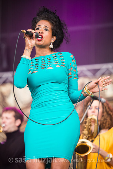 Kelis @ Bažant Pohoda festival, Trenčín (Slovakia), 10/07 > 12/07/2014 <em>Photo: © Saša Huzjak</em>