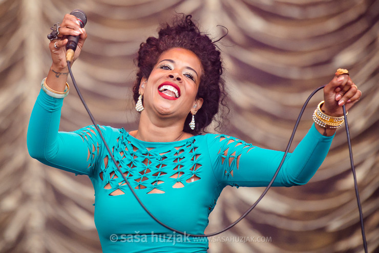 Kelis @ Bažant Pohoda festival, Trenčín (Slovakia), 2014 <em>Photo: © Saša Huzjak</em>