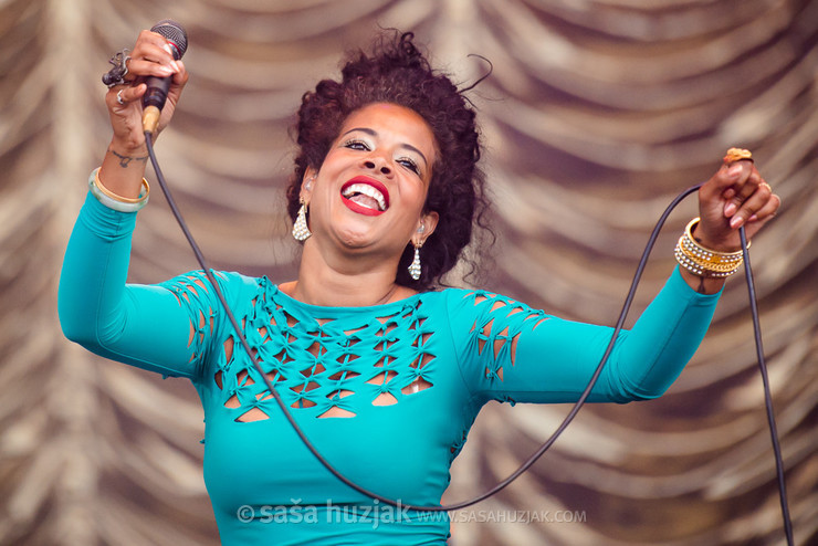 Kelis @ Bažant Pohoda festival, Trenčín (Slovakia), 10/07 > 12/07/2014 <em>Photo: © Saša Huzjak</em>