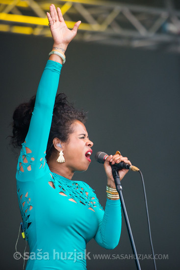 Kelis @ Bažant Pohoda festival, Trenčín (Slovakia), 10/07 > 12/07/2014 <em>Photo: © Saša Huzjak</em>