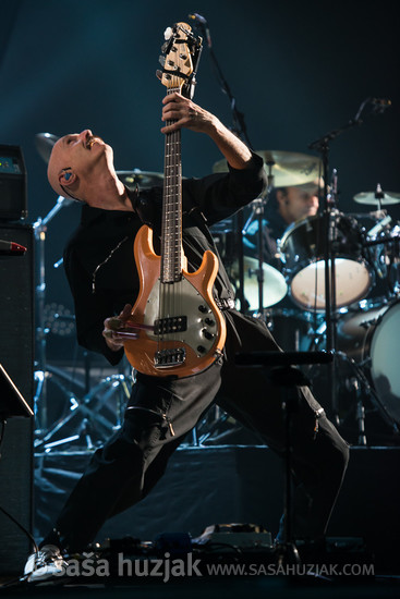 Tony Levin (Peter Gabriel) @ Stadthalle Graz, Graz (Austria), 2014 <em>Photo: © Saša Huzjak</em>