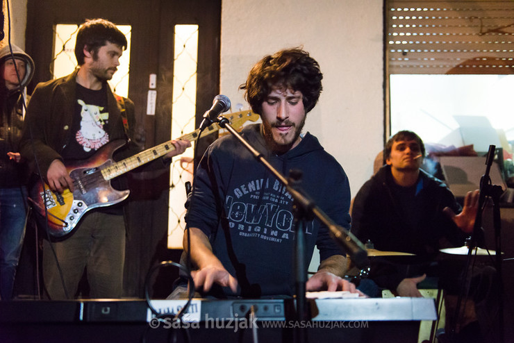 Miki Solus @ Ruše, 28/11/2014 <em>Photo: © Saša Huzjak</em>