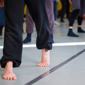 Contemporary dance with Lotem Regev @ Zimska plesna šola / Winter dance school, Maribor (Slovenia), 20/02 > 23/02/2015 <em>Photo: © Saša Huzjak</em>