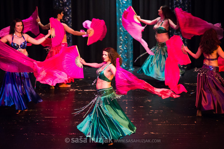 Mično pomično 2015 - Gathering of belly dance groups in Maribor @ Dom kulture Pekre, Pekre (Slovenia), 05/06/2015 <em>Photo: © Saša Huzjak</em>