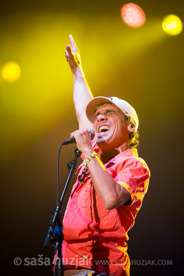 Manu Chao @ Bažant Pohoda festival, Trenčín (Slovakia), 2015 <em>Photo: © Saša Huzjak</em>