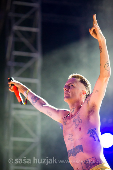 Watkin Tudor Jones a.k.a. Ninja (Die Antwoord) @ Bažant Pohoda festival, Trenčín (Slovakia), 2015 <em>Photo: © Saša Huzjak</em>