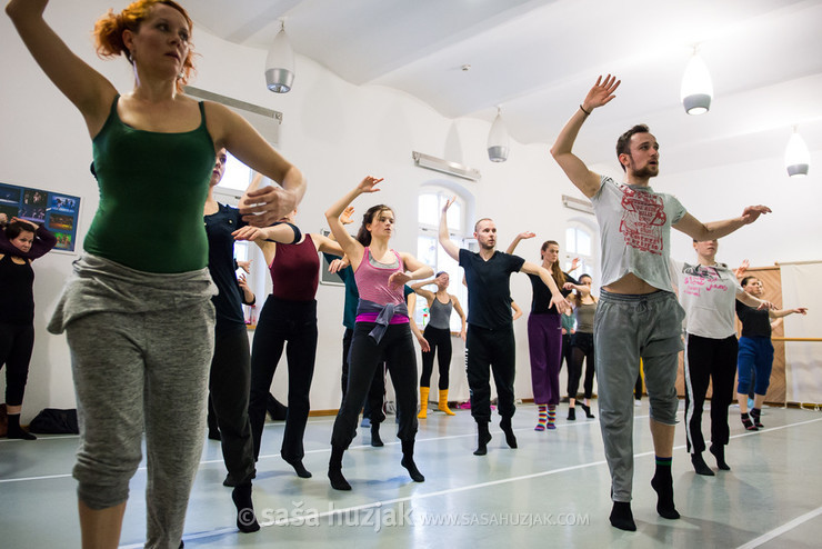 Contemporary dance workshop with Miloš Isailović @ Zimska plesna šola / Winter dance school, Maribor (Slovenia), 19/02 > 22/02/2016 <em>Photo: © Saša Huzjak</em>