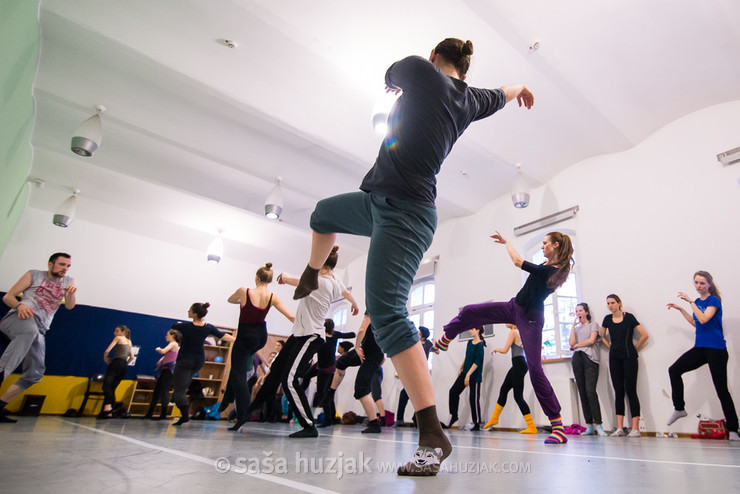 Contemporary dance workshop with Miloš Isailović @ Zimska plesna šola / Winter dance school, Maribor (Slovenia), 19/02 > 22/02/2016 <em>Photo: © Saša Huzjak</em>