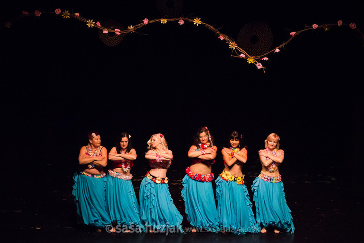 Mično pomično 2016 - Gathering of belly dance groups in Maribor @ Dom kulture Pekre, Pekre (Slovenia), 04/06/2016 <em>Photo: © Saša Huzjak</em>
