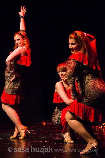Mično pomično 2016 - Gathering of belly dance groups in Maribor @ Dom kulture Pekre, Pekre (Slovenia), 04/06/2016 <em>Photo: © Saša Huzjak</em>