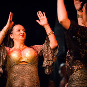 Mično pomično 2016 - Gathering of belly dance groups in Maribor @ Dom kulture Pekre, Pekre (Slovenia), 04/06/2016 <em>Photo: © Saša Huzjak</em>