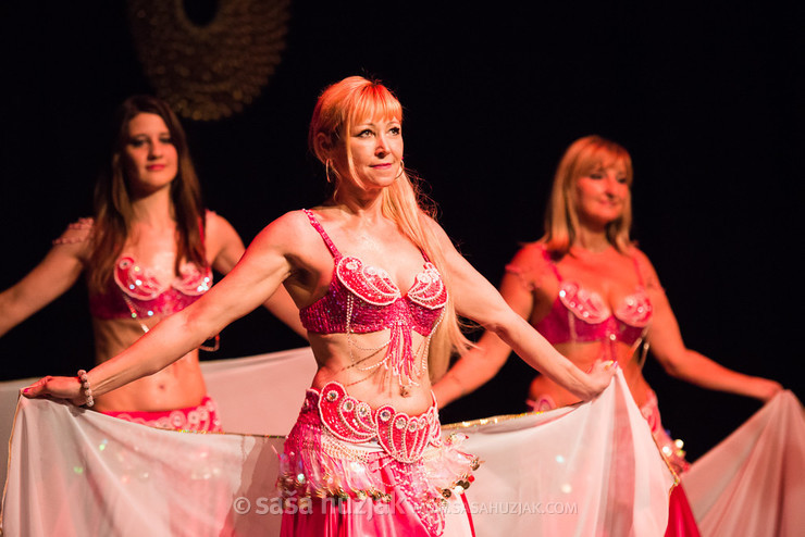 Mično pomično 2016 - Gathering of belly dance groups in Maribor @ Dom kulture Pekre, Pekre (Slovenia), 04/06/2016 <em>Photo: © Saša Huzjak</em>