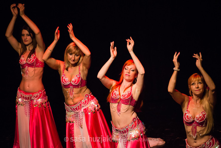 Mično pomično 2016 - Gathering of belly dance groups in Maribor @ Dom kulture Pekre, Pekre (Slovenia), 04/06/2016 <em>Photo: © Saša Huzjak</em>