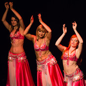 Mično pomično 2016 - Gathering of belly dance groups in Maribor @ Dom kulture Pekre, Pekre (Slovenia), 04/06/2016 <em>Photo: © Saša Huzjak</em>