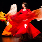 Mično pomično 2016 - Gathering of belly dance groups in Maribor @ Dom kulture Pekre, Pekre (Slovenia), 04/06/2016 <em>Photo: © Saša Huzjak</em>