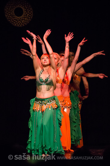 Mično pomično 2016 - Gathering of belly dance groups in Maribor @ Dom kulture Pekre, Pekre (Slovenia), 04/06/2016 <em>Photo: © Saša Huzjak</em>