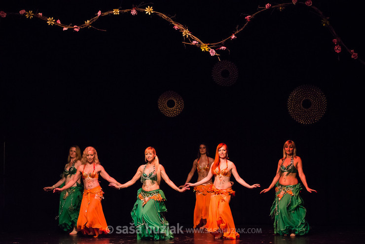 Mično pomično 2016 - Gathering of belly dance groups in Maribor @ Dom kulture Pekre, Pekre (Slovenia), 04/06/2016 <em>Photo: © Saša Huzjak</em>