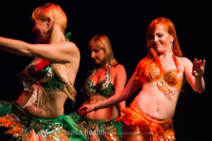 Mično pomično 2016 - Gathering of belly dance groups in Maribor @ Dom kulture Pekre, Pekre (Slovenia), 04/06/2016 <em>Photo: © Saša Huzjak</em>