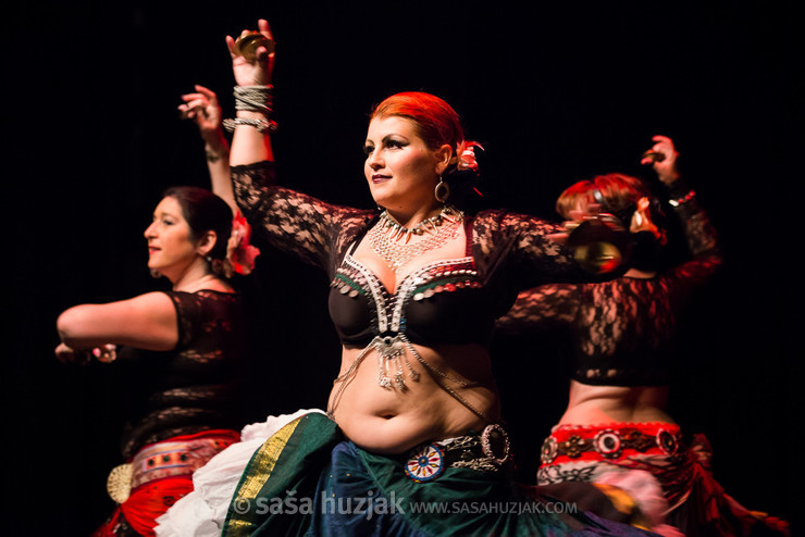 Mično pomično 2016 - Gathering of belly dance groups in Maribor @ Dom kulture Pekre, Pekre (Slovenia), 04/06/2016 <em>Photo: © Saša Huzjak</em>