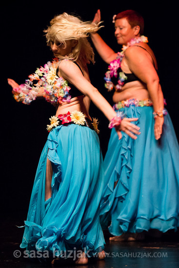 Mično pomično 2016 - Gathering of belly dance groups in Maribor @ Dom kulture Pekre, Pekre (Slovenia), 04/06/2016 <em>Photo: © Saša Huzjak</em>