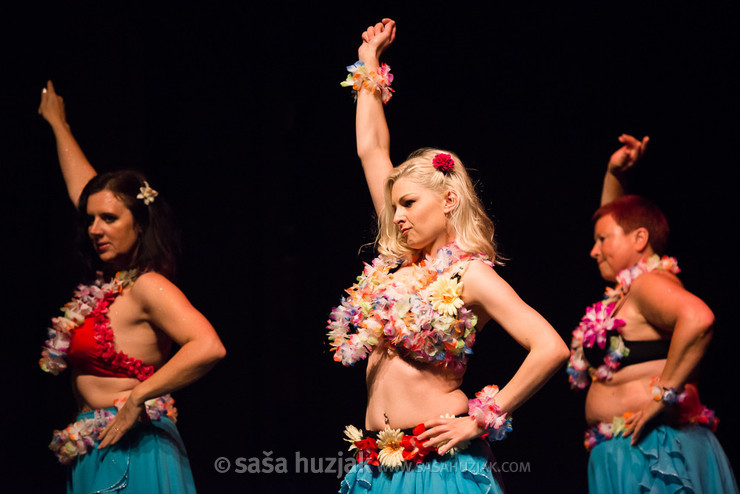 Mično pomično 2016 - Gathering of belly dance groups in Maribor @ Dom kulture Pekre, Pekre (Slovenia), 04/06/2016 <em>Photo: © Saša Huzjak</em>