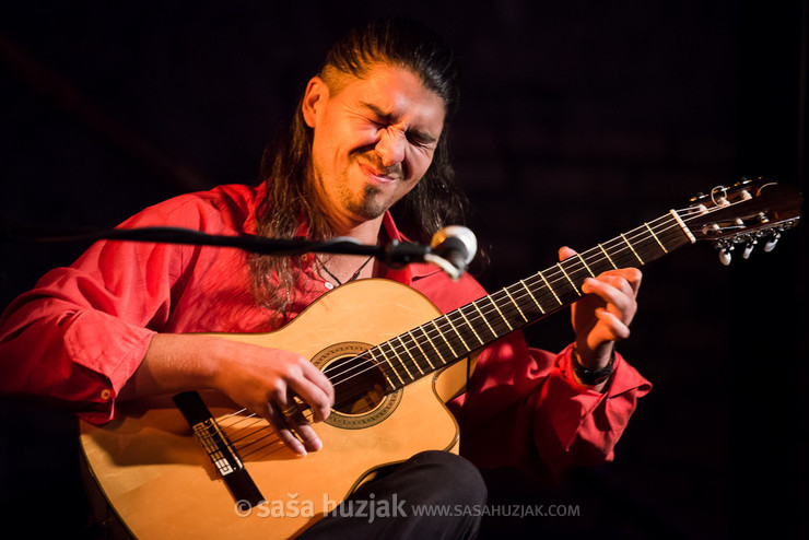 Aleksander Kuzmić (Wild Strings Trio) @ Festival Lent, Maribor (Slovenia), 2016 <em>Photo: © Saša Huzjak</em>