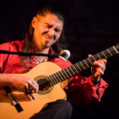 Aleksander Kuzmić (Wild Strings Trio) @ Festival Lent, Maribor (Slovenia), 2016 <em>Photo: © Saša Huzjak</em>