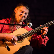 Aleksander Kuzmić (Wild Strings Trio) @ Festival Lent, Maribor (Slovenia), 2016 <em>Photo: © Saša Huzjak</em>