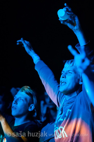 Kawasaki 3P fans @ Rocklive #6, Šoderica, Koprivnica (Croatia), 12/08 > 13/08/2016 <em>Photo: © Saša Huzjak</em>