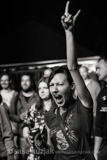 Fans @ Mladi Maribor, Maribor (Slovenia), 16/09/2016 <em>Photo: © Saša Huzjak</em>