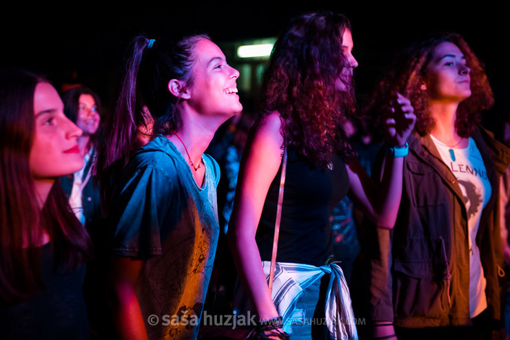 Fans @ Mladi Maribor, Maribor (Slovenia), 16/09/2016 <em>Photo: © Saša Huzjak</em>