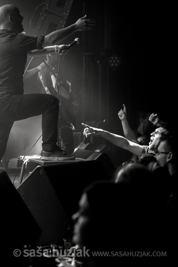 Happy Ol' McWeasel @ ŠTUK, Maribor (Slovenia), 18/03/2017 <em>Photo: © Saša Huzjak</em>