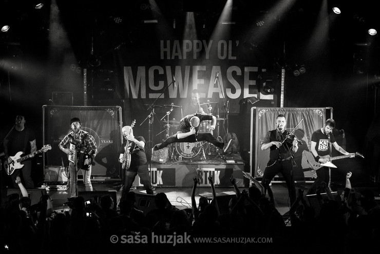 Happy Ol' McWeasel @ ŠTUK, Maribor (Slovenia), 2017 <em>Photo: © Saša Huzjak</em>