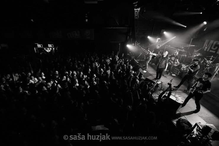 Happy Ol' McWeasel @ ŠTUK, Maribor (Slovenia), 18/03/2017 <em>Photo: © Saša Huzjak</em>