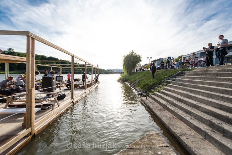 Stari pes @ River Drava, Maribor (Slovenia), 09/06/2017 <em>Photo: © Saša Huzjak</em>