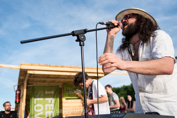 Stari pes @ River Drava, Maribor (Slovenia), 09/06/2017 <em>Photo: © Saša Huzjak</em>