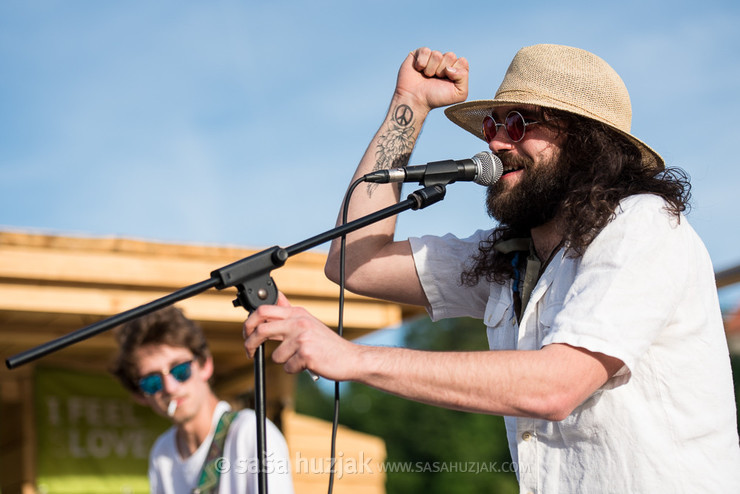 Stari pes @ River Drava, Maribor (Slovenia), 09/06/2017 <em>Photo: © Saša Huzjak</em>