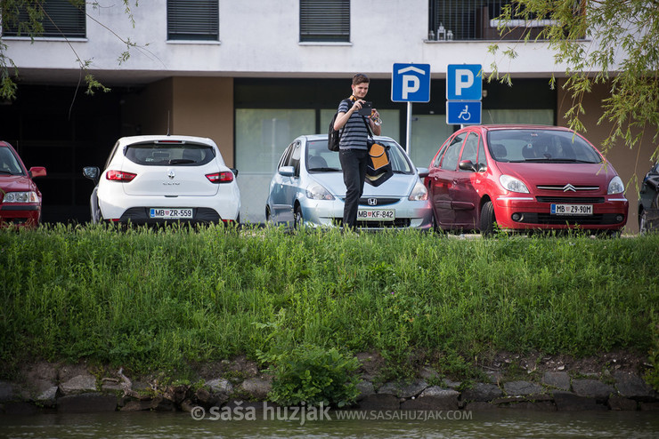 Fan @ River Drava, Maribor (Slovenia), 09/06/2017 <em>Photo: © Saša Huzjak</em>