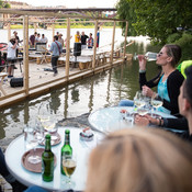 Stari pes @ River Drava, Maribor (Slovenia), 09/06/2017 <em>Photo: © Saša Huzjak</em>