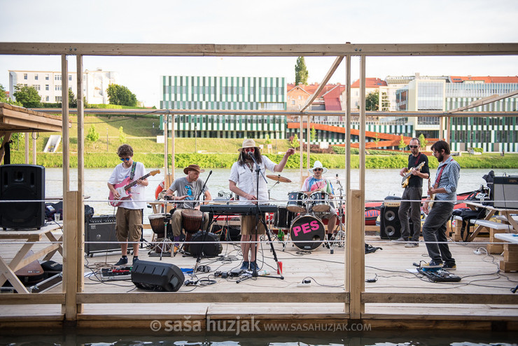 Stari pes @ River Drava, Maribor (Slovenia), 09/06/2017 <em>Photo: © Saša Huzjak</em>