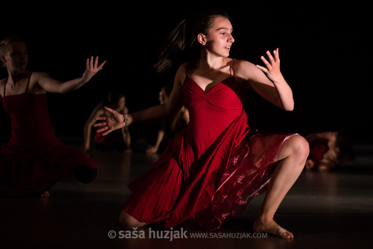 Gibljive podobe večnosti - letna plesna produkcija Plesne izbe Maribor @ SNG Maribor, Velika dvorana, Maribor (Slovenia), 13/06/2017 <em>Photo: © Saša Huzjak</em>